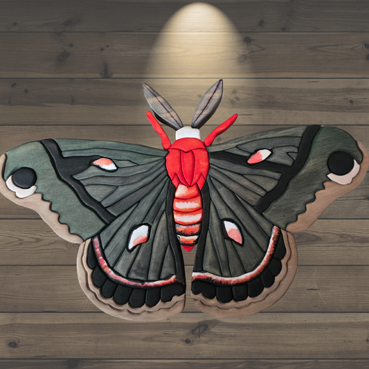 CRIMSON OMEN MOTH